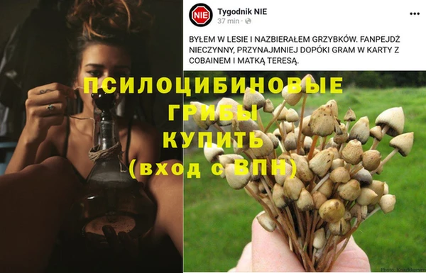 каннабис Волоколамск